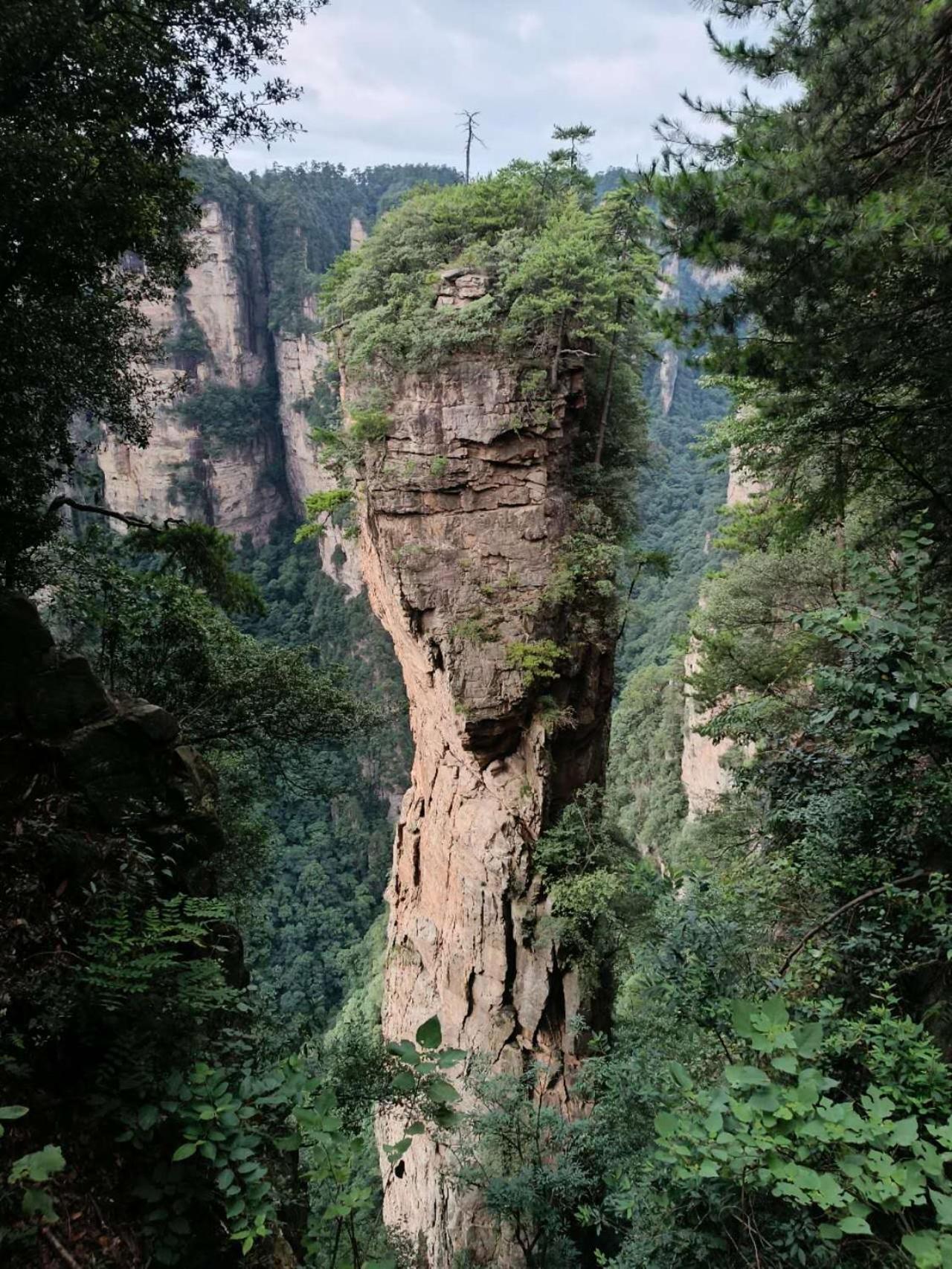 Family Hotel Zhangjiajie Eksteriør billede