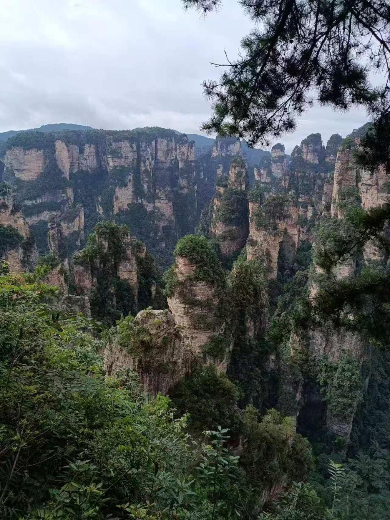 Family Hotel Zhangjiajie Eksteriør billede